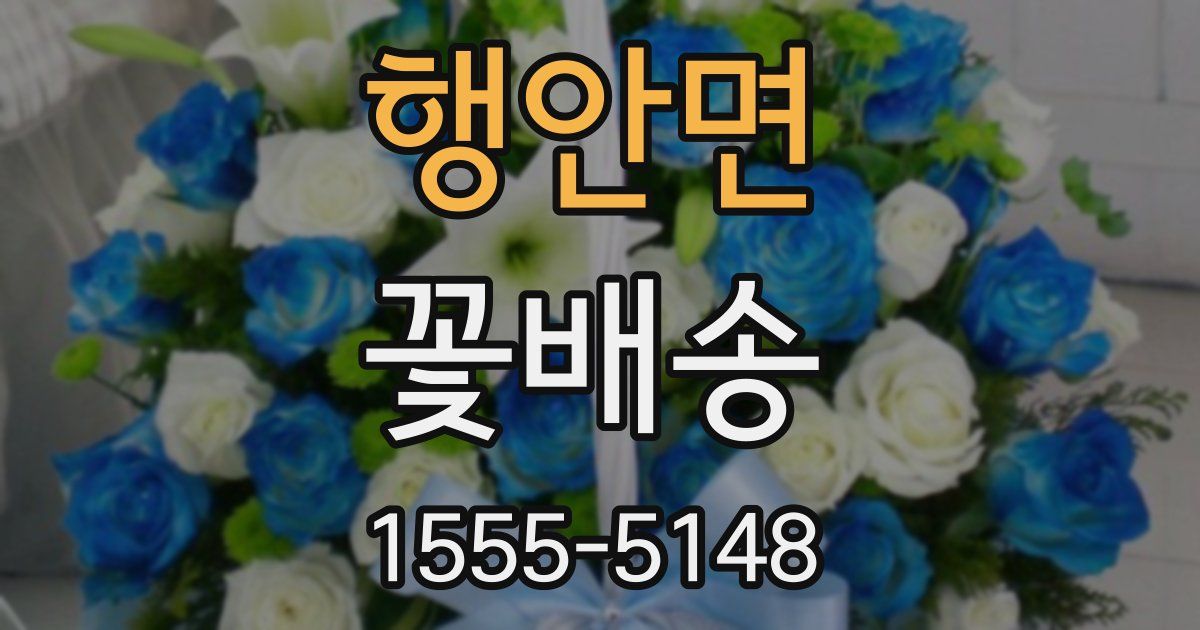 행안면 꽃배송
