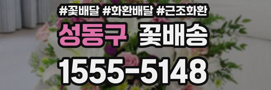 성동구 꽃배송