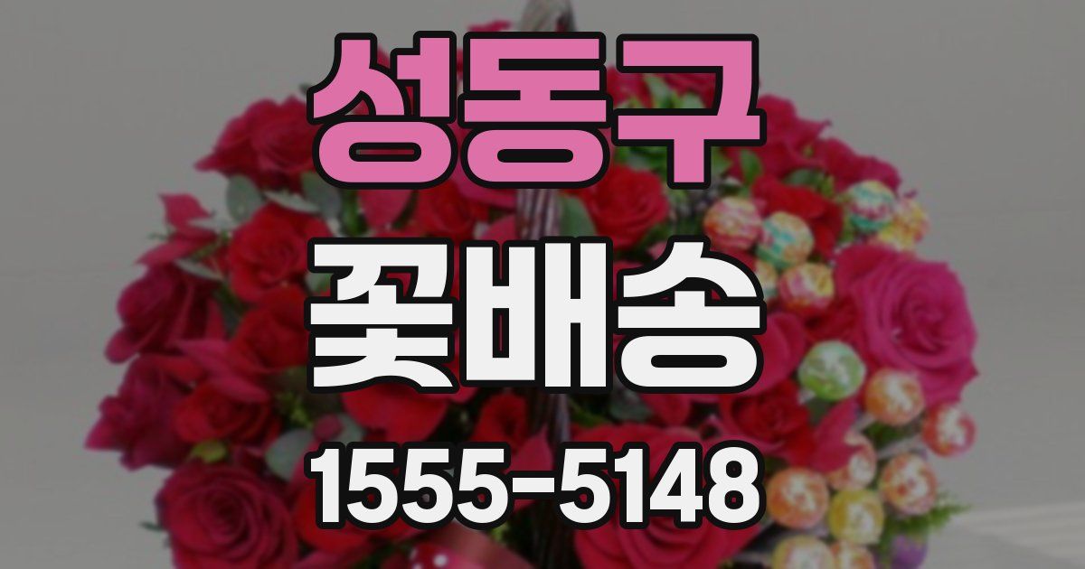 성동구 꽃배송