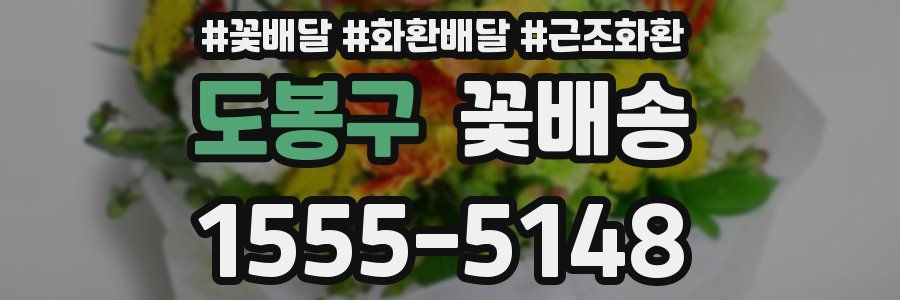 도봉구 꽃배송