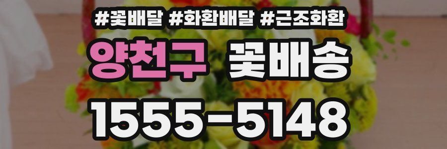 양천구 꽃배송