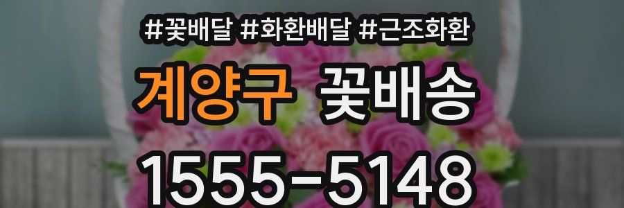 계양구 꽃배송