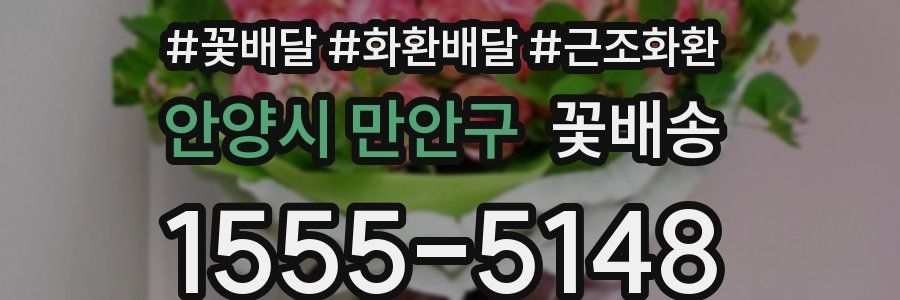 안양시 만안구 꽃배송