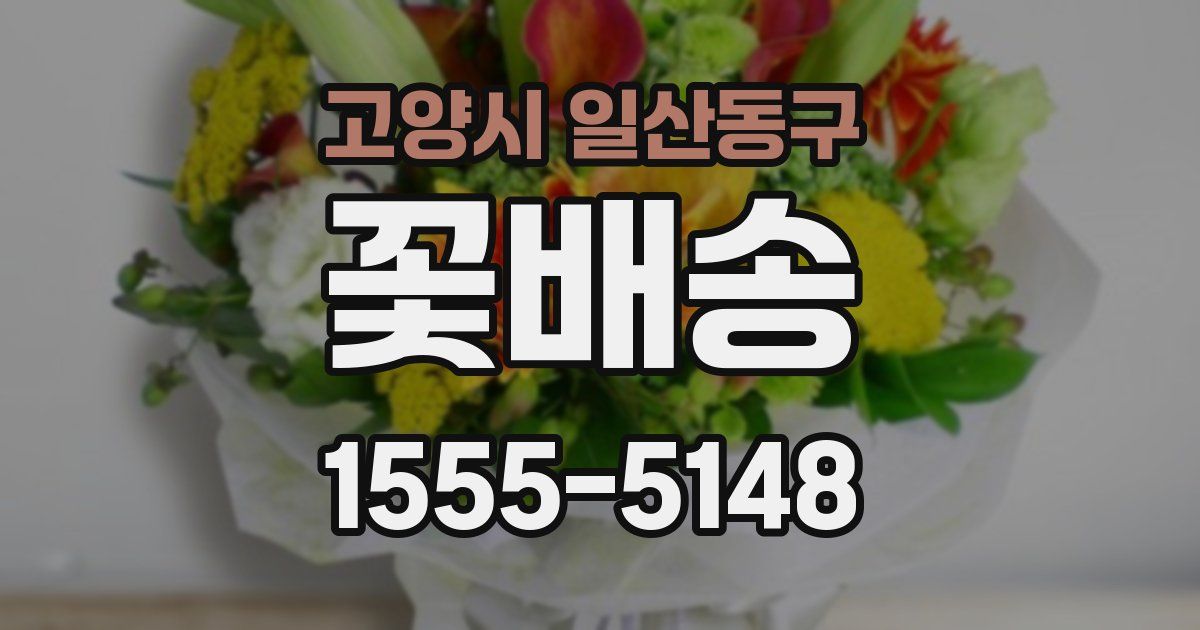 고양시 일산동구 꽃배송