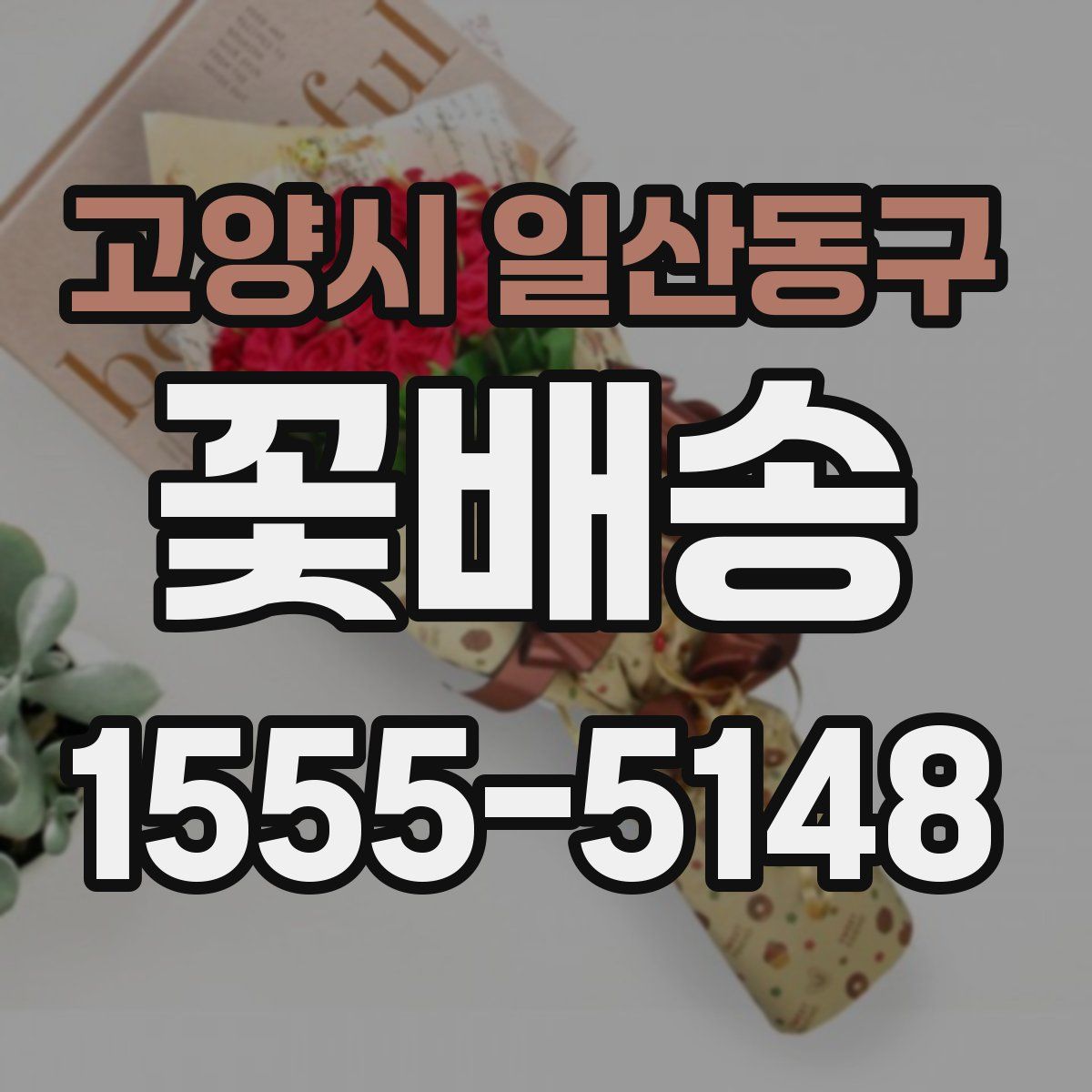 고양시 일산동구 꽃배송