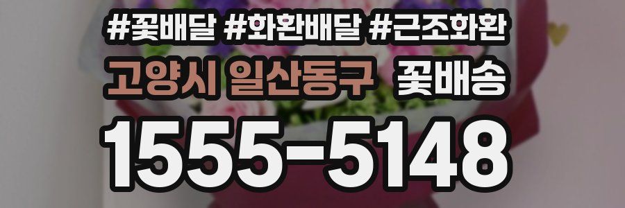 고양시 일산동구 꽃배송