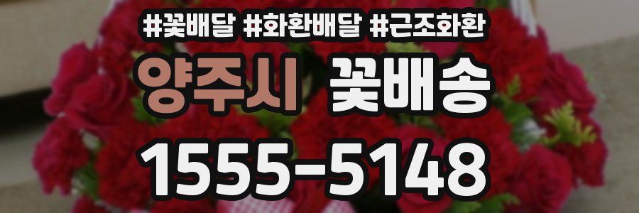 양주시 꽃배송