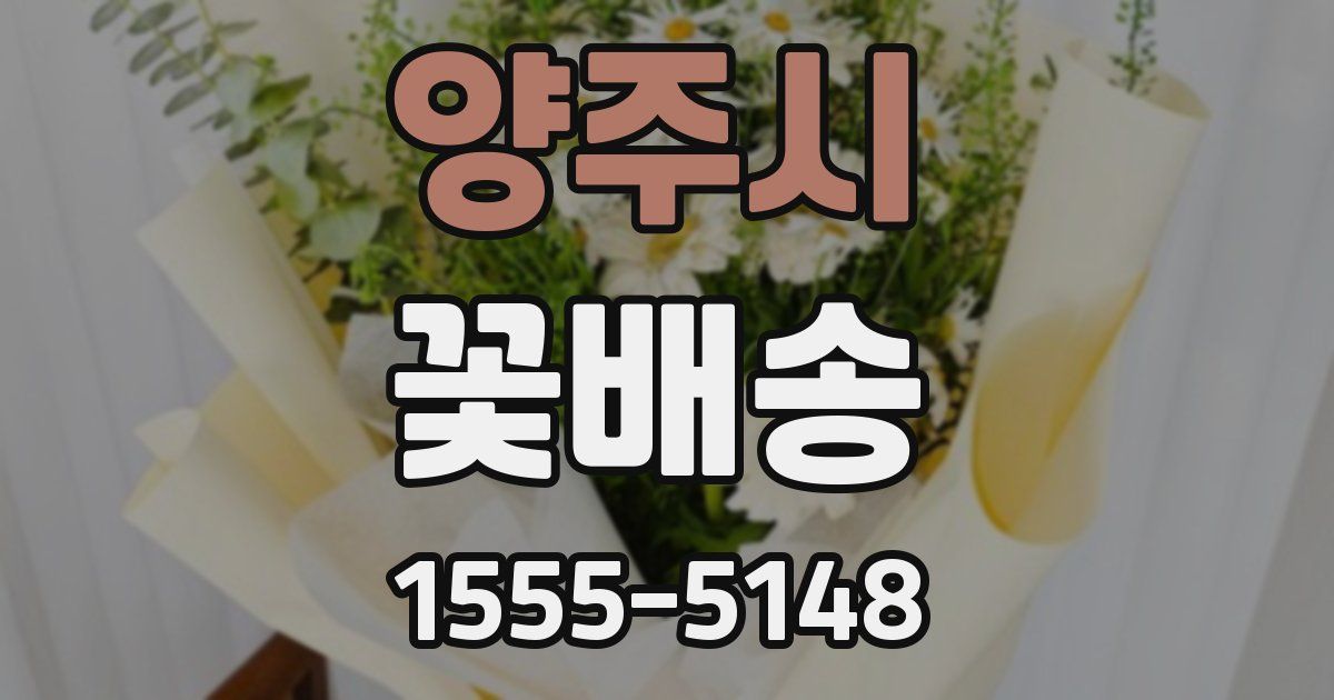 양주시 꽃배송