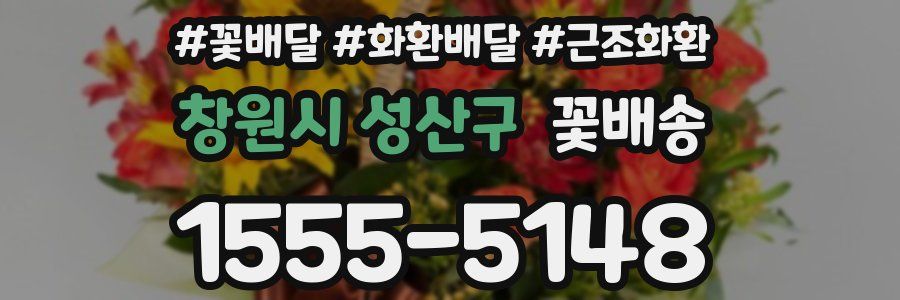 창원시 성산구 꽃배송