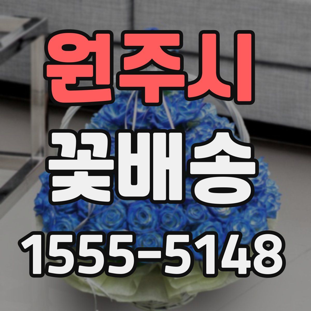 원주시 꽃배송