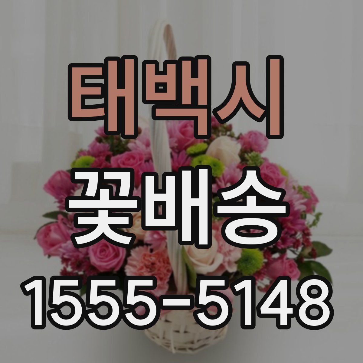 태백시 꽃배송