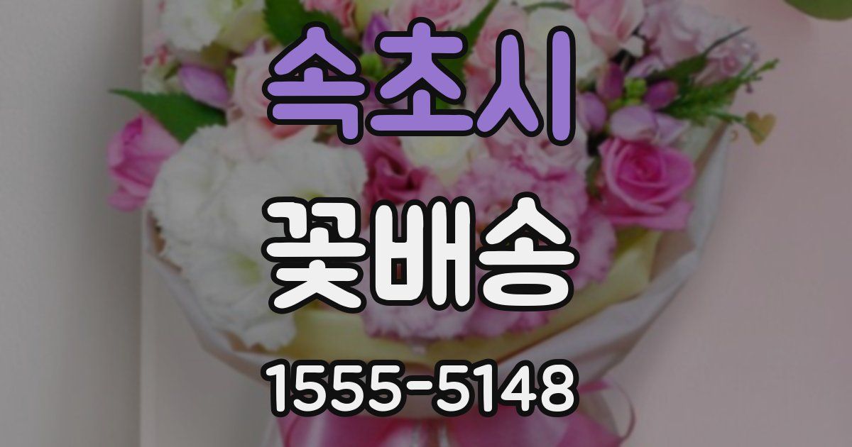 속초시 꽃배송