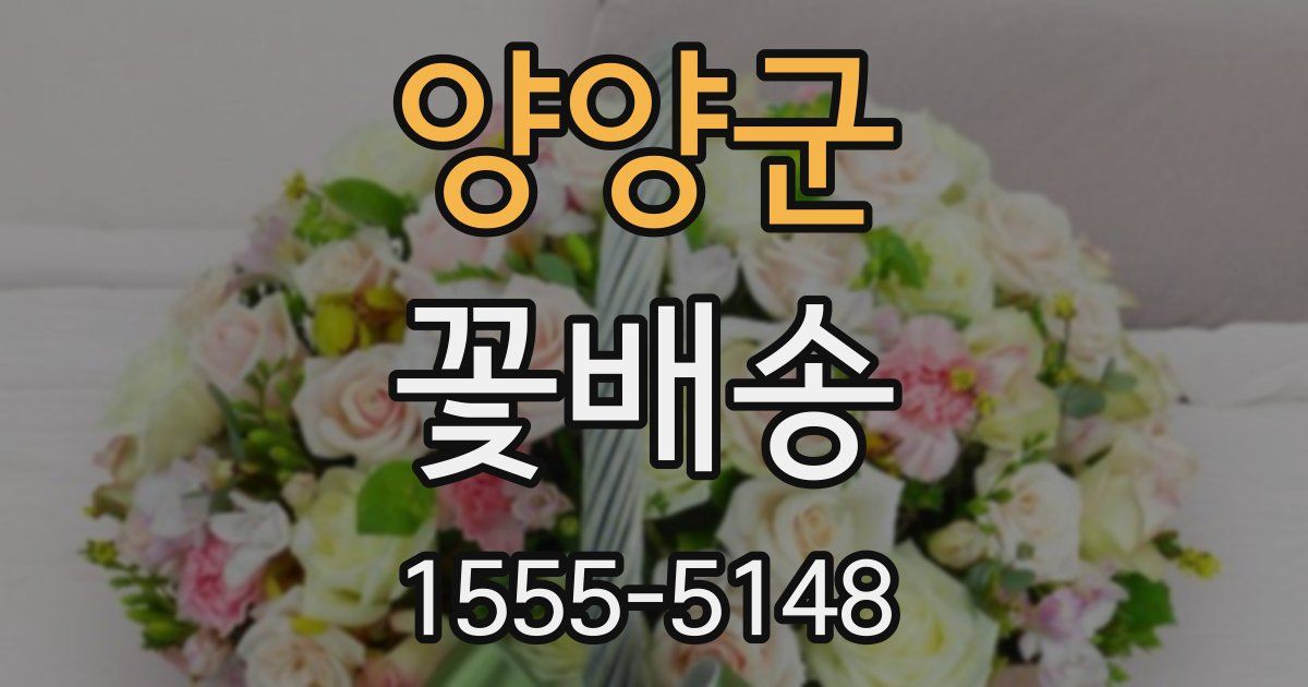 양양군 꽃배송