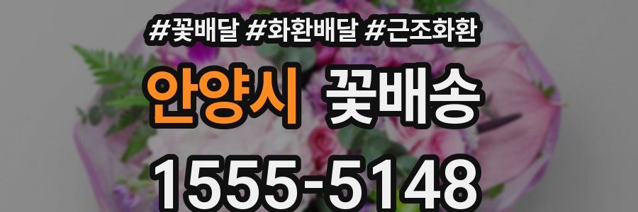 안양시 꽃배송