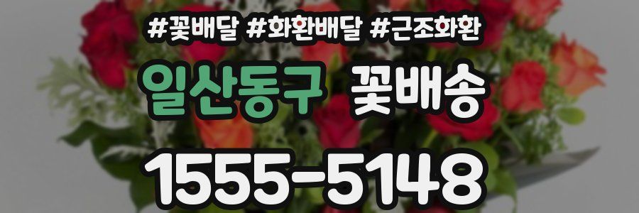 일산동구 꽃배송