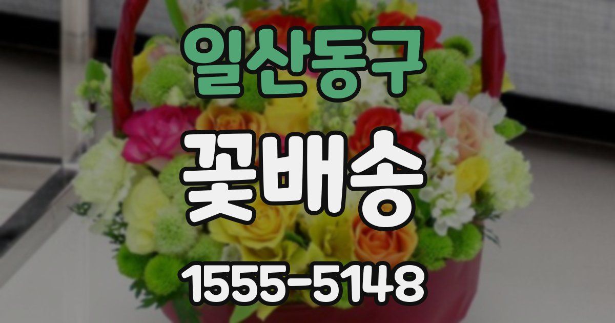 일산동구 꽃배송