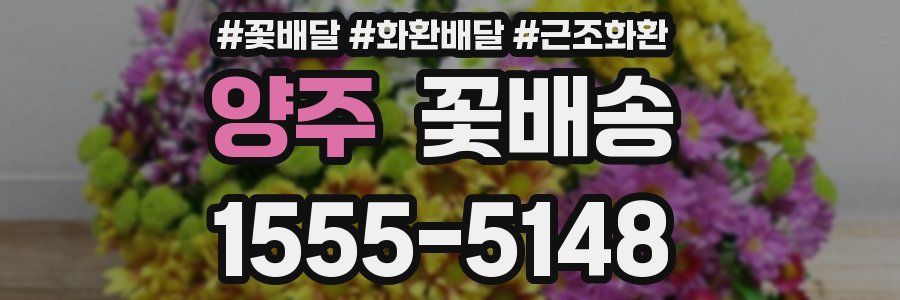 양주 꽃배송