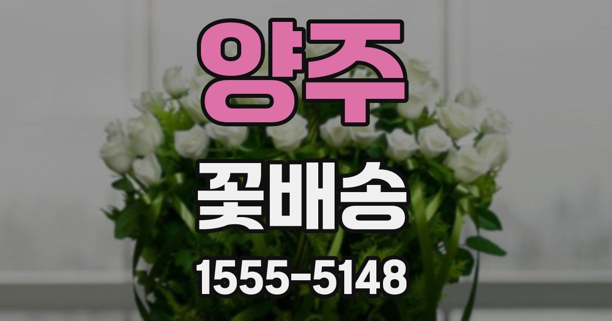 양주 꽃배송