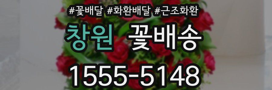 창원 꽃배송