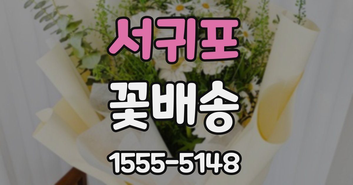 서귀포 꽃배송