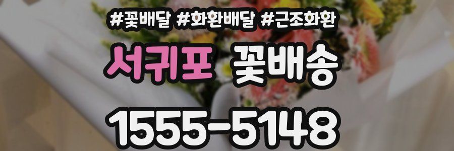 서귀포 꽃배송