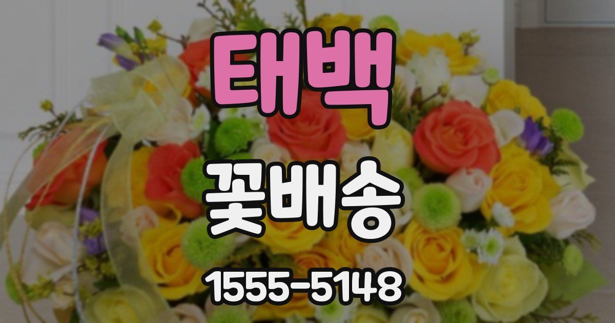 태백 꽃배송
