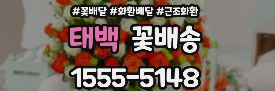 태백 꽃배송