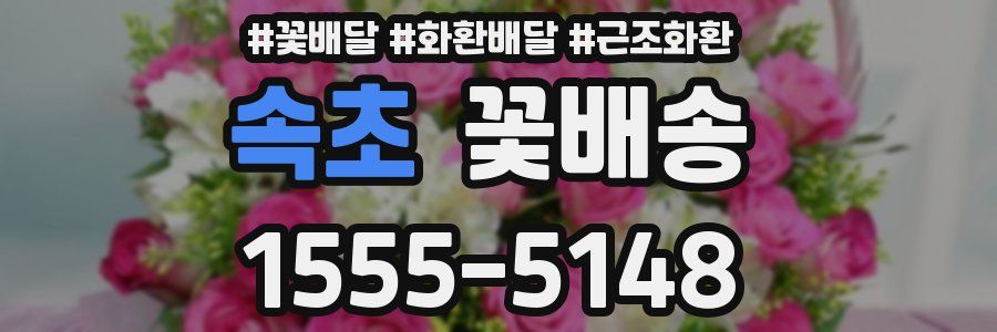 속초 꽃배송