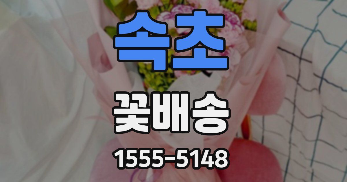 속초 꽃배송
