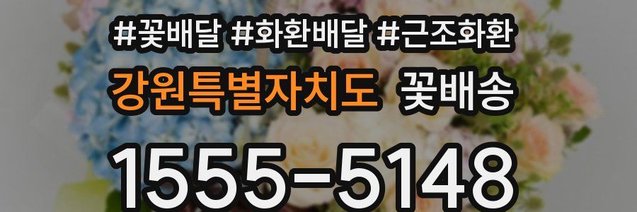 강원특별자치도 꽃배송