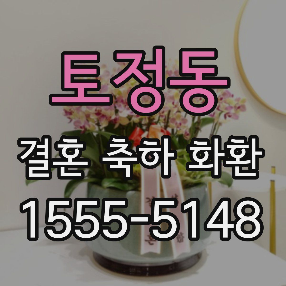 토정동 결혼 축하 화환