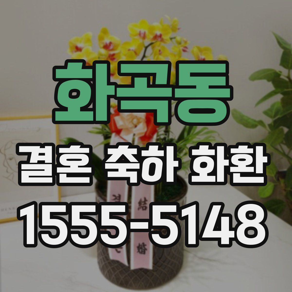 화곡동 결혼 축하 화환