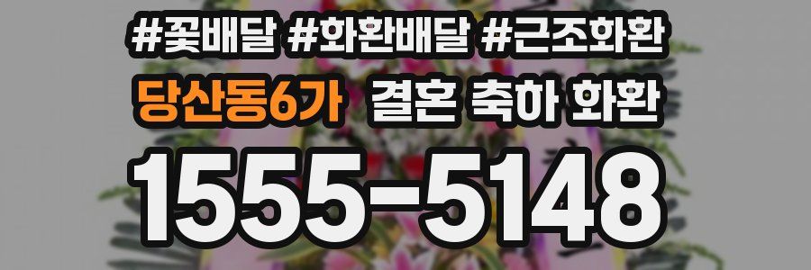 당산동6가 결혼 축하 화환
