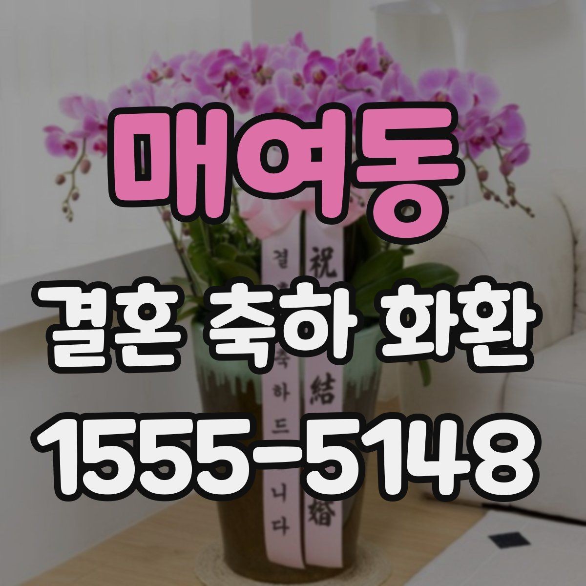 매여동 결혼 축하 화환 상황별 문구 추천 정리