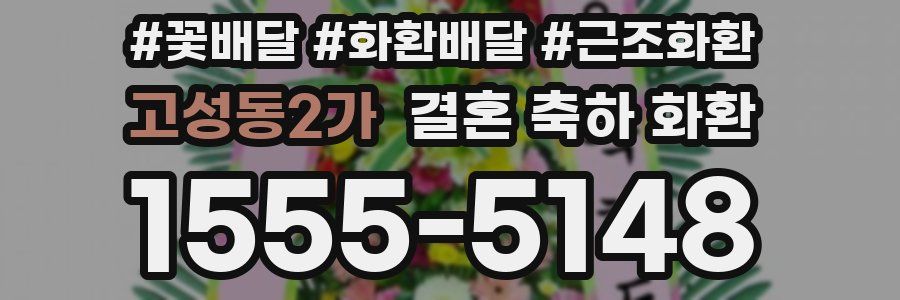 고성동2가 결혼 축하 화환