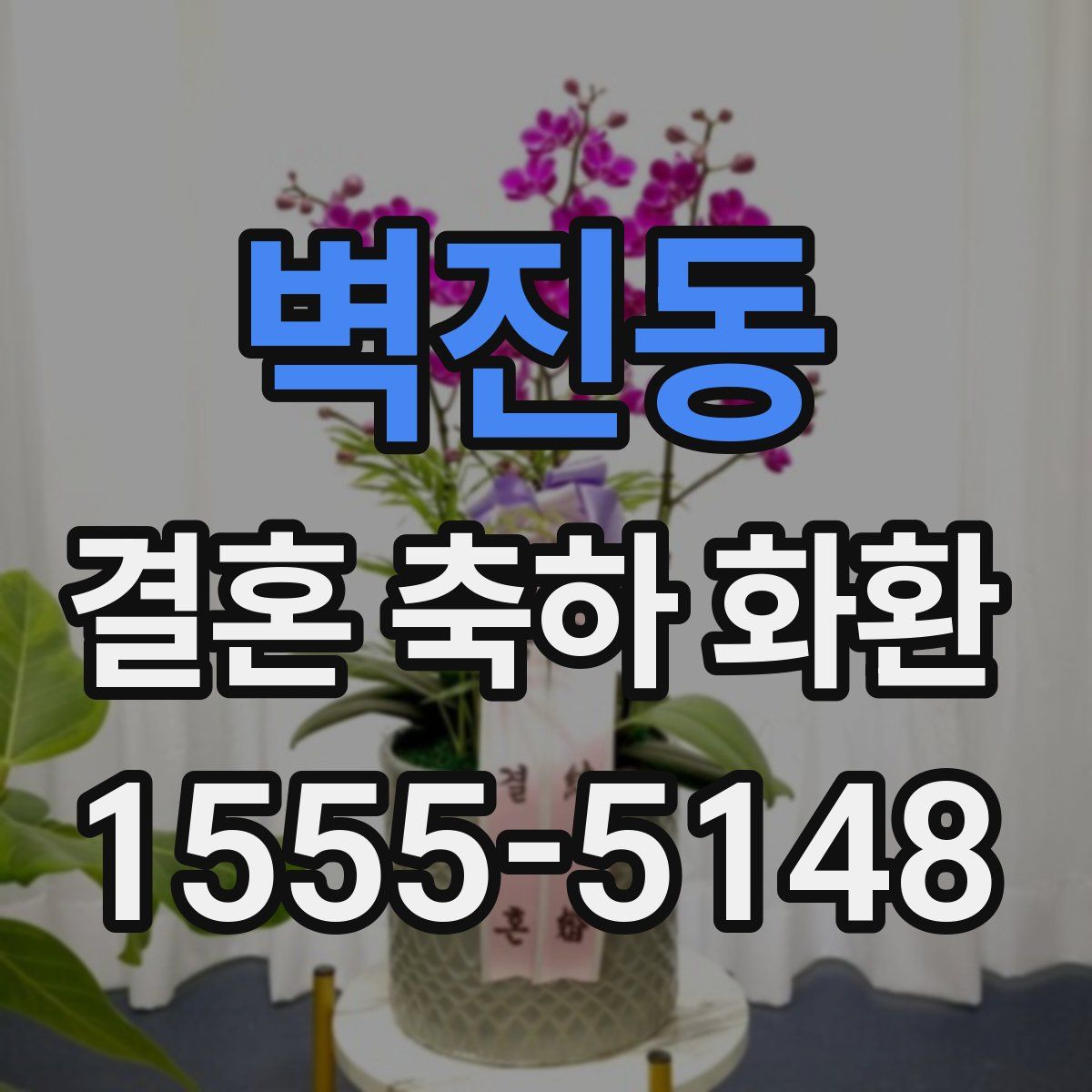 벽진동 결혼 축하 화환