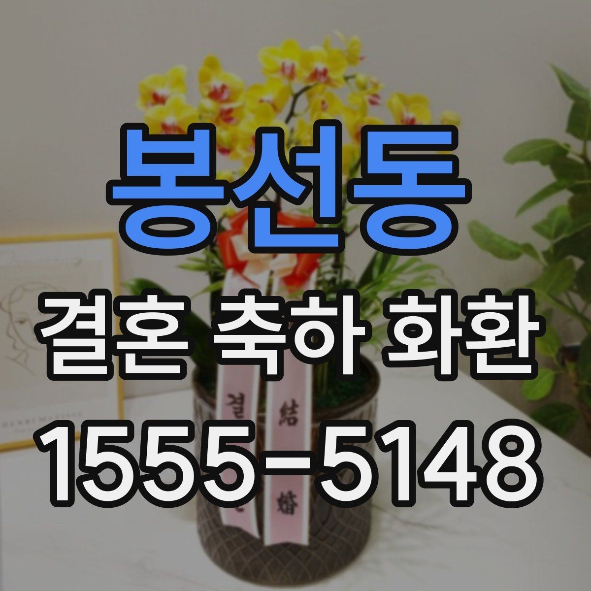 봉선동 결혼 축하 화환 여러 업체 비교할 때 볼 점