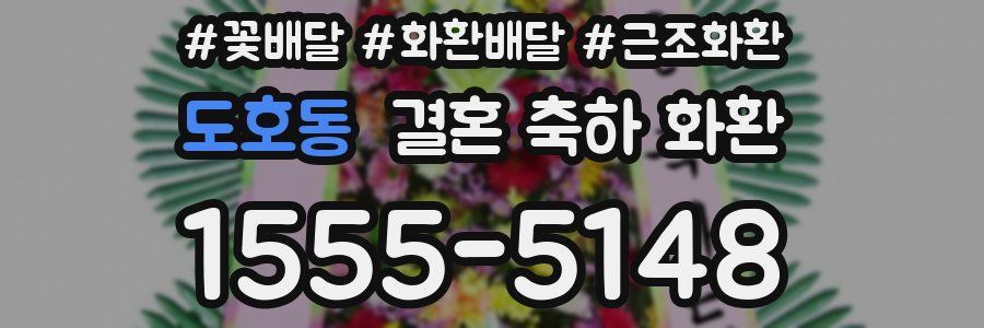 도호동 결혼 축하 화환