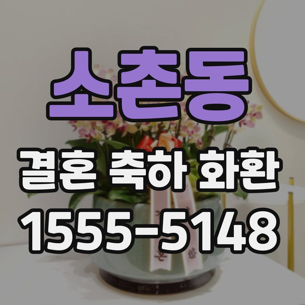 소촌동 결혼 축하 화환 예산이 다를 때 비교 방법