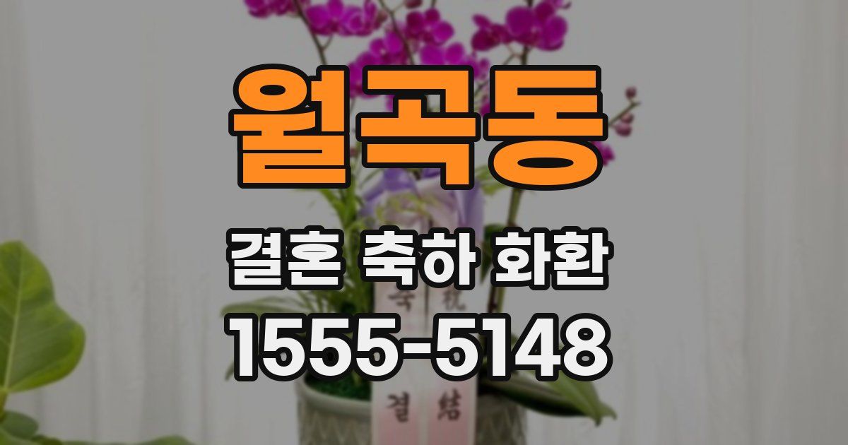 월곡동 결혼 축하 화환