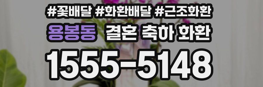 용봉동 결혼 축하 화환
