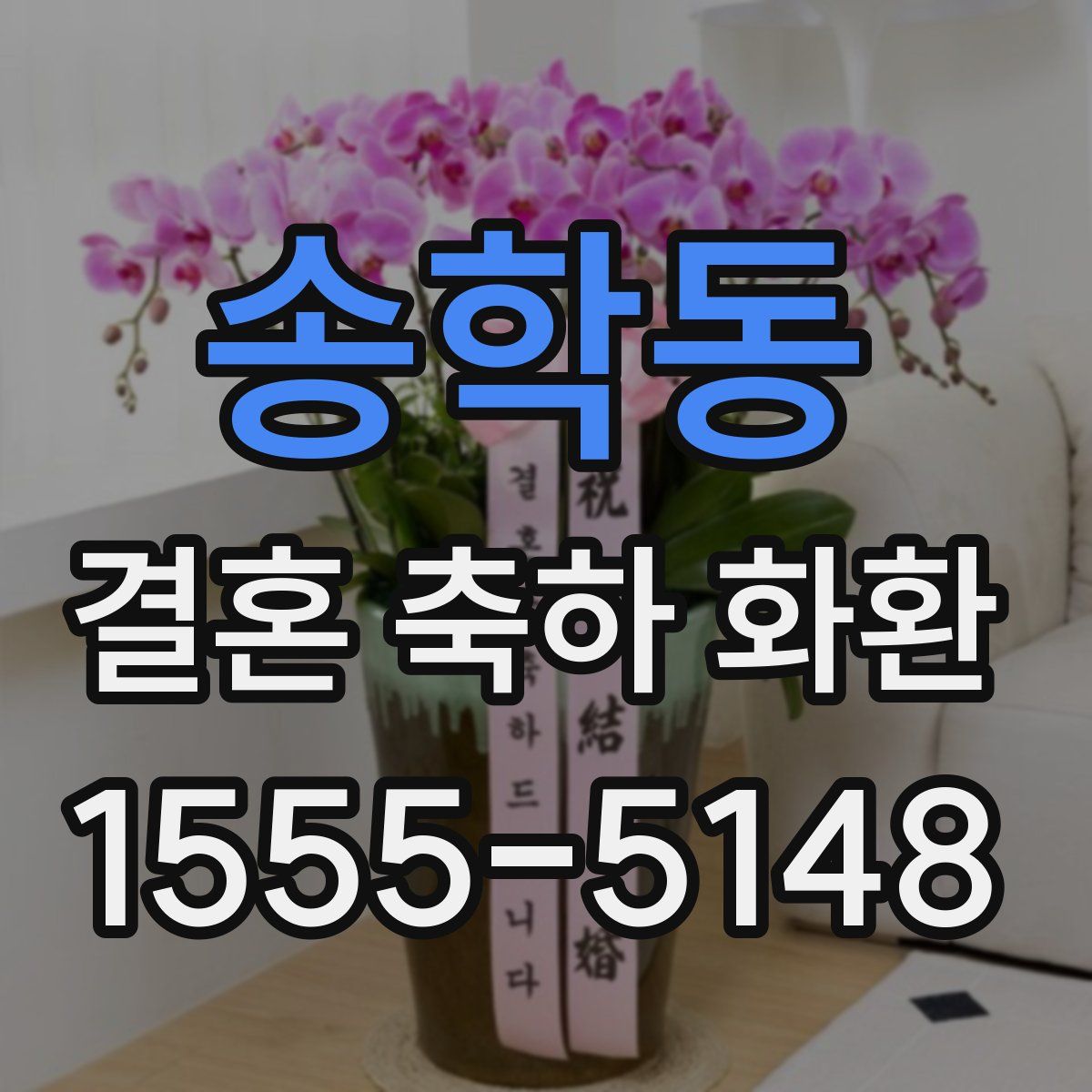 송학동 결혼 축하 화환