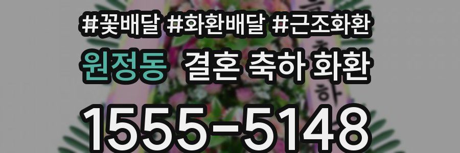 원정동 결혼 축하 화환