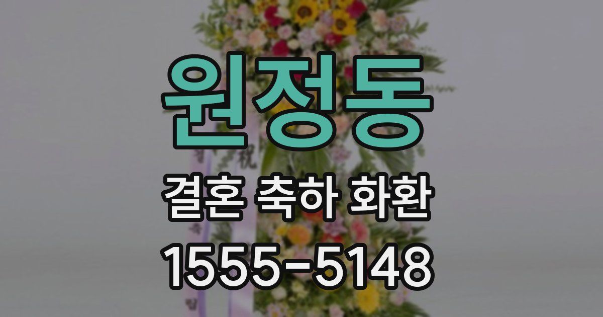 원정동 결혼 축하 화환