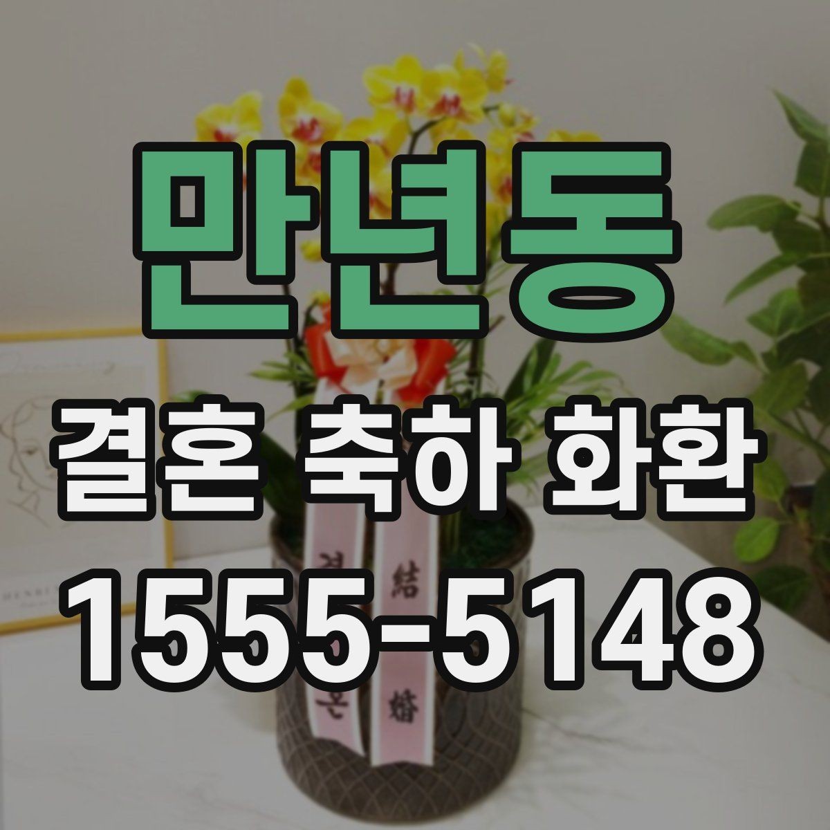 만년동 결혼 축하 화환 고급형과 일반형 차이 보기
