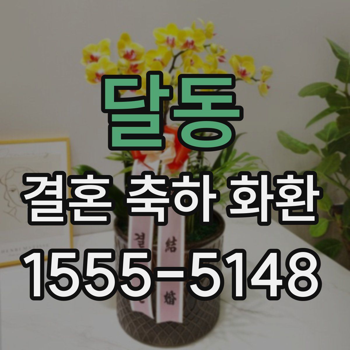 달동 결혼 축하 화환