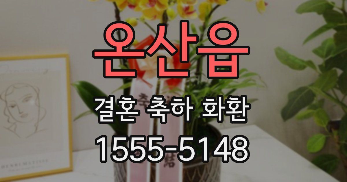 온산읍 결혼 축하 화환