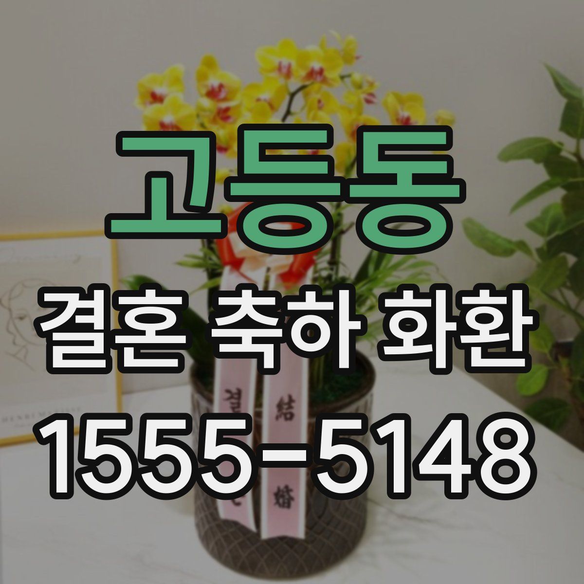 고등동 결혼 축하 화환