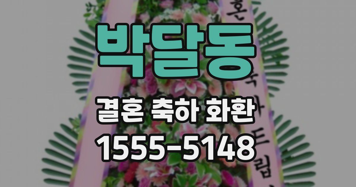 박달동 결혼 축하 화환