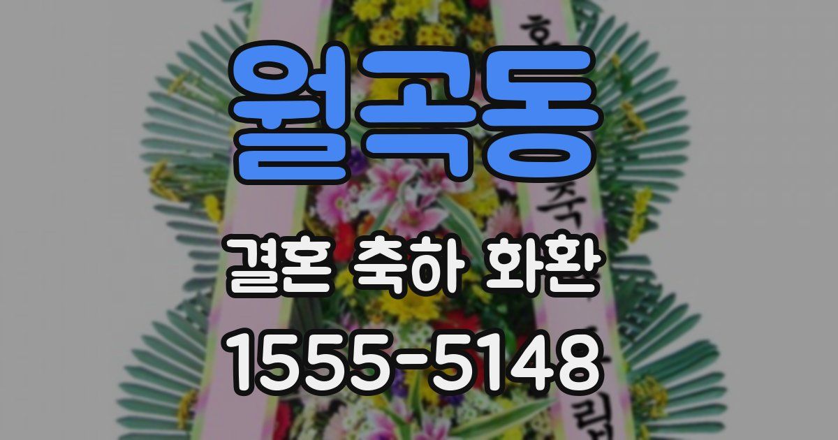 월곡동 결혼 축하 화환